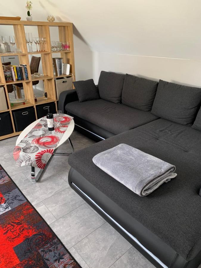Ferienwohnung Sunny - Moderne Ferienwohnung Im Gruenen In Saarbruecken-West Exteriér fotografie